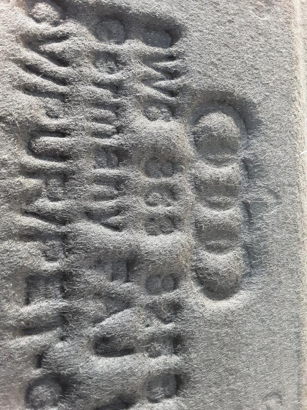 ISOLANT DE CAPOT Audi A5 (3) sportback 9/19+ FaceLift