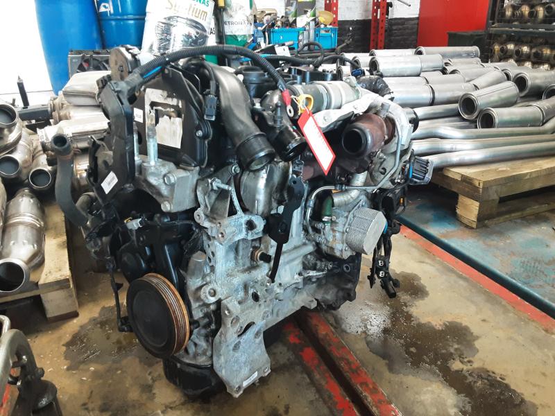 MOTOR Ford ECOSPORT 10/13 - 17