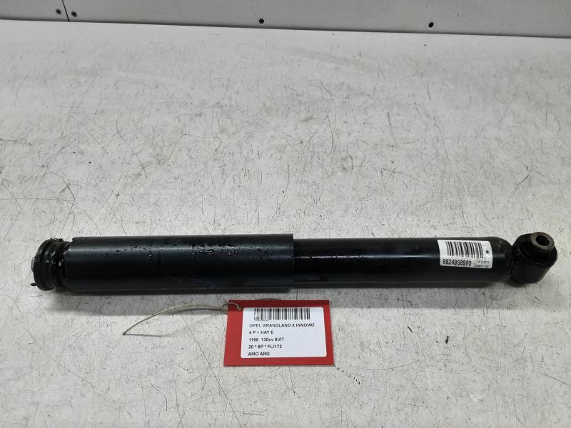 FEDERBEIN HINTER LINKS Opel GRANDLAND X 6/17+