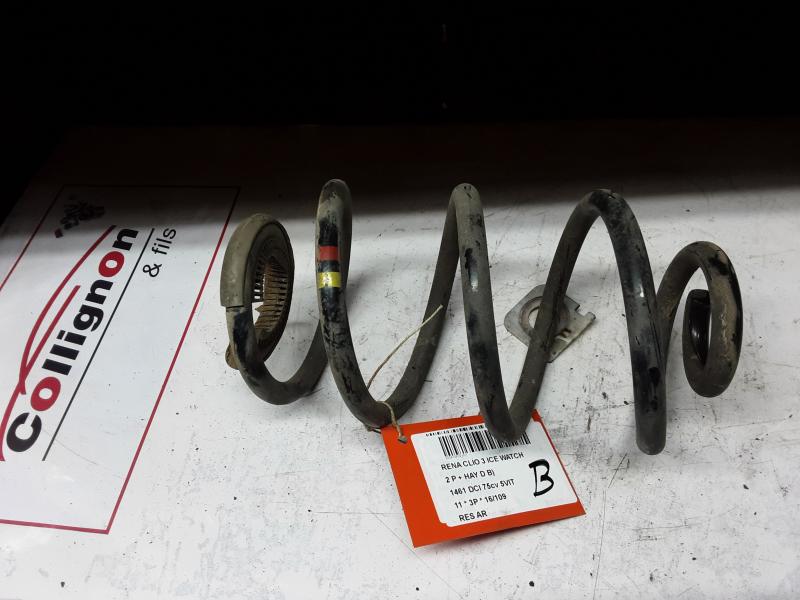 ACHTERVEER Renault CLIO III 06/09 - 13