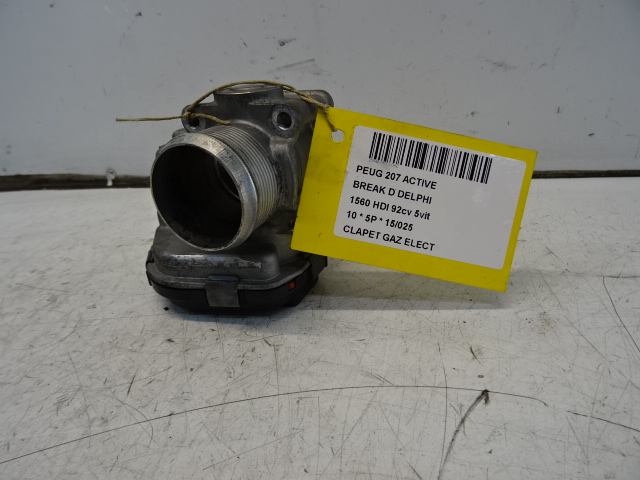 GASKLEP ELEKTRISCH Peugeot 207 2/06 &gt; 15