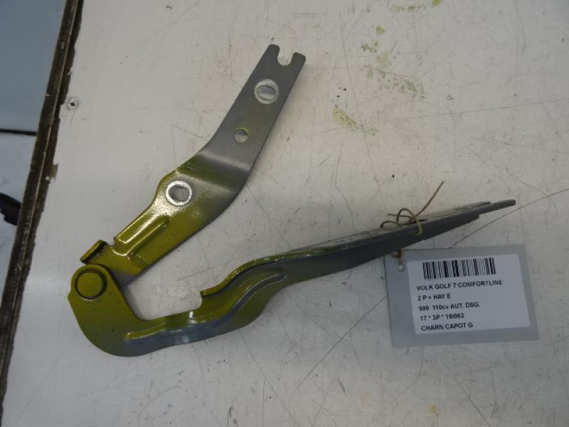 SCHARNIER MOTORKAP LINKS Vw GOLF VII 1/17 - 2/20 FaceLift