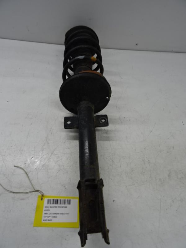 SCHOKBREKER ACHTER RECHTS Dacia DUSTER 4/10 - 18