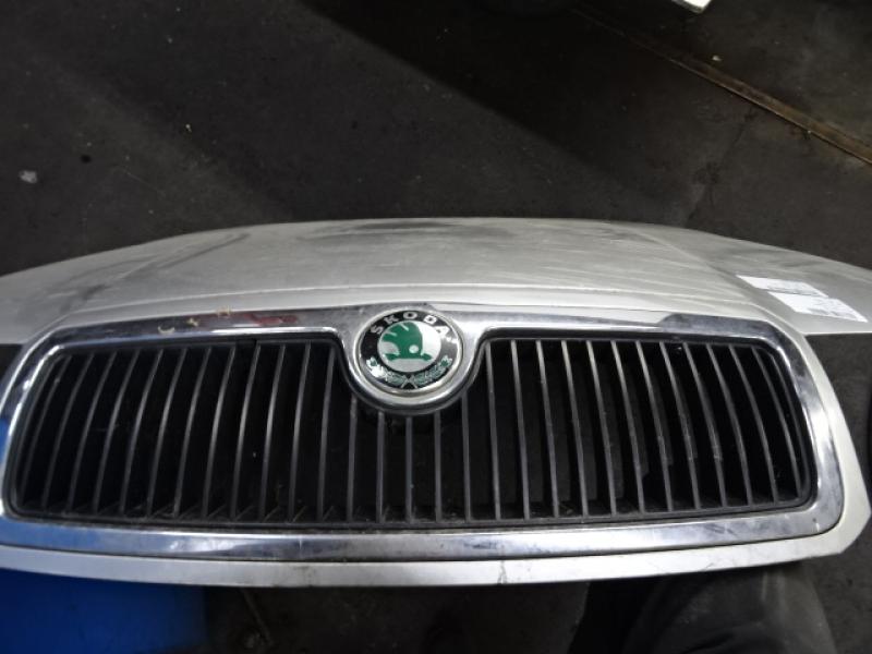 ROOSTER Skoda FABIA (6Y) 00 - 9/04