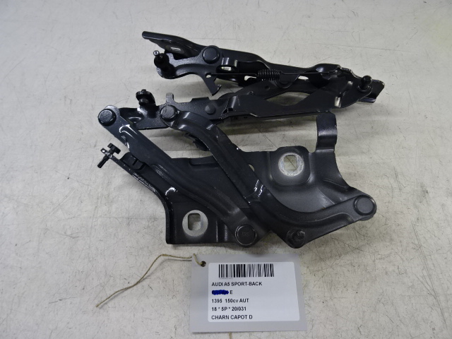 SCHARNIER MOTORKAP RECHTS Audi A5 (3) 5/16+