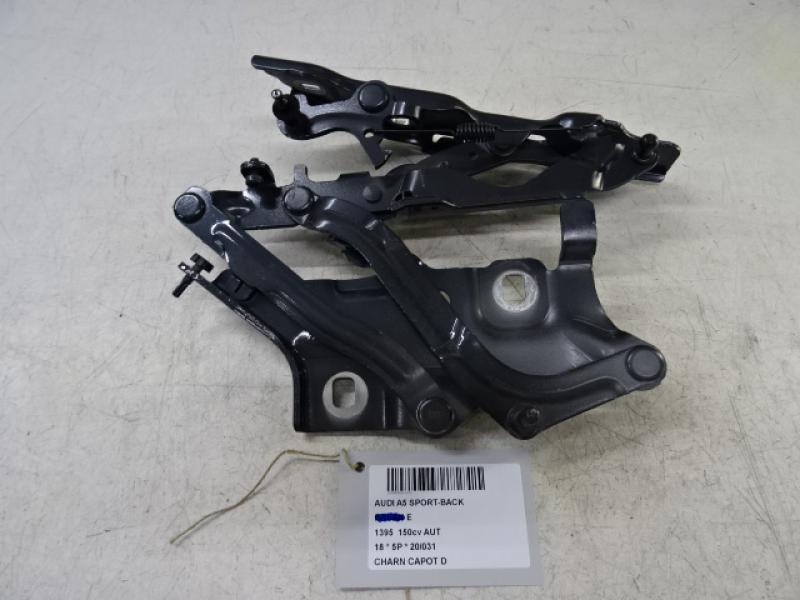 RIGHT HINGE BONNET Audi A5 (3) 5/16+