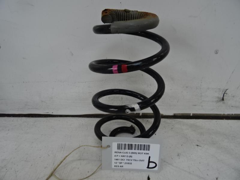 ACHTERVEER Renault CLIO III 06/09 - 13