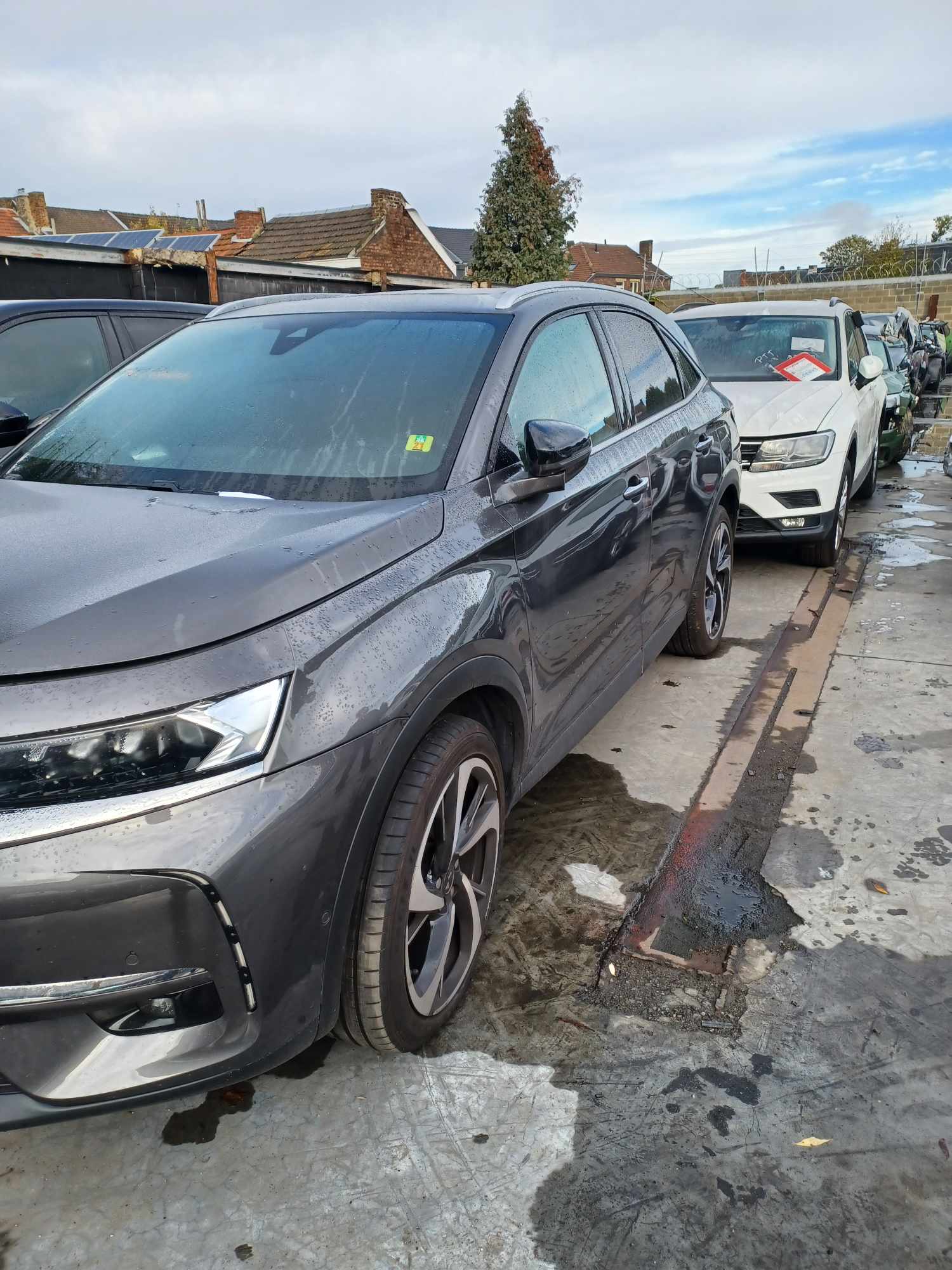 auto