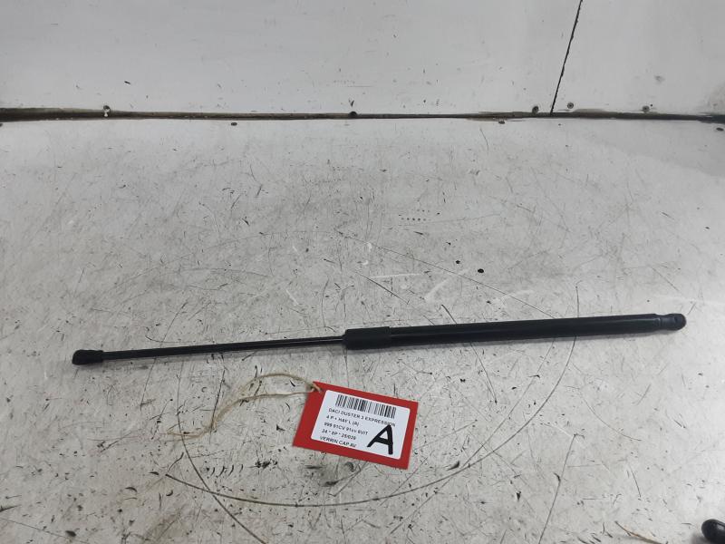 DRUKVEER MOTORKAP Dacia DUSTER 1/24+