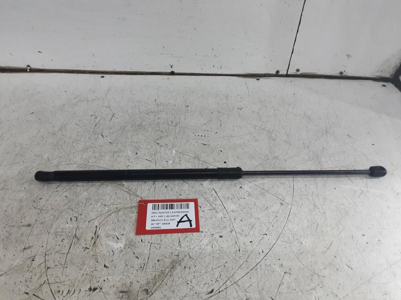 DRUKVEER Dacia DUSTER 1/24+