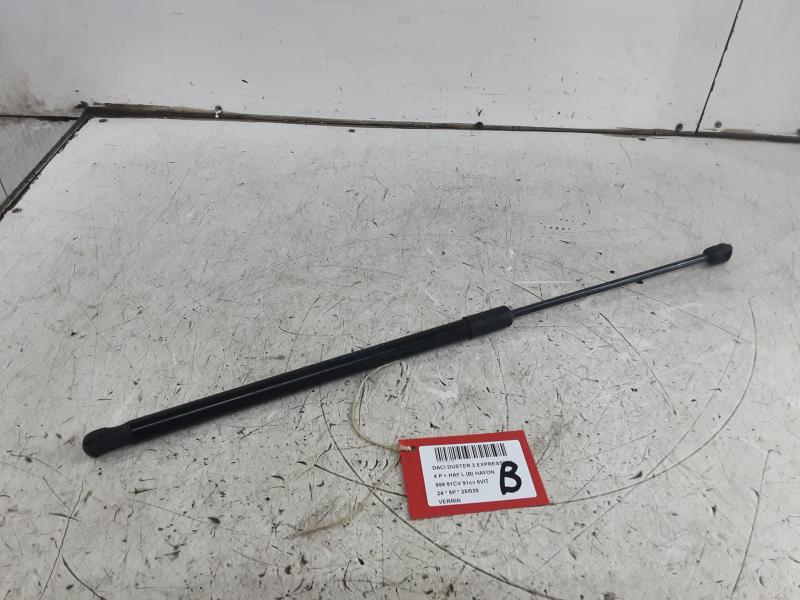 DRUKVEER Dacia DUSTER 1/24+