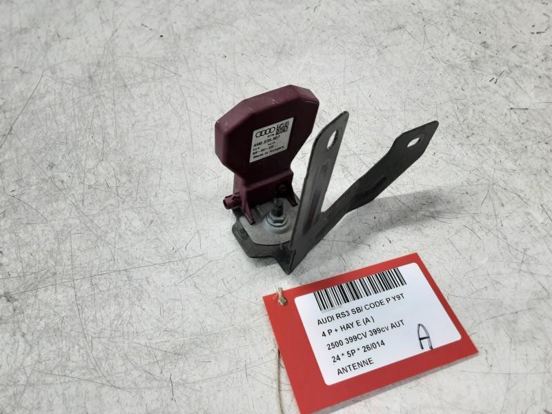 ANTENNE Audi RS3 2019+