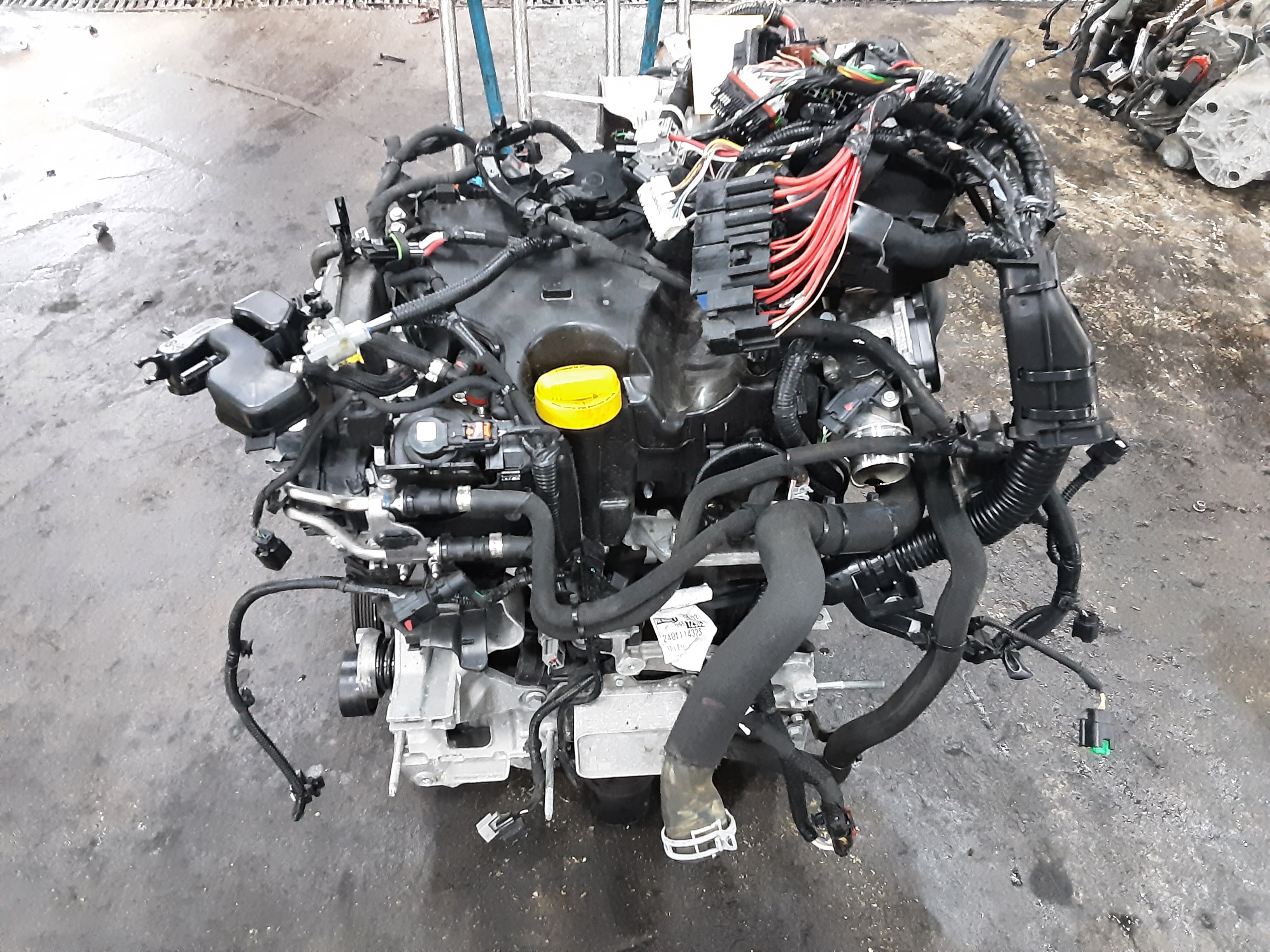 MOTOR