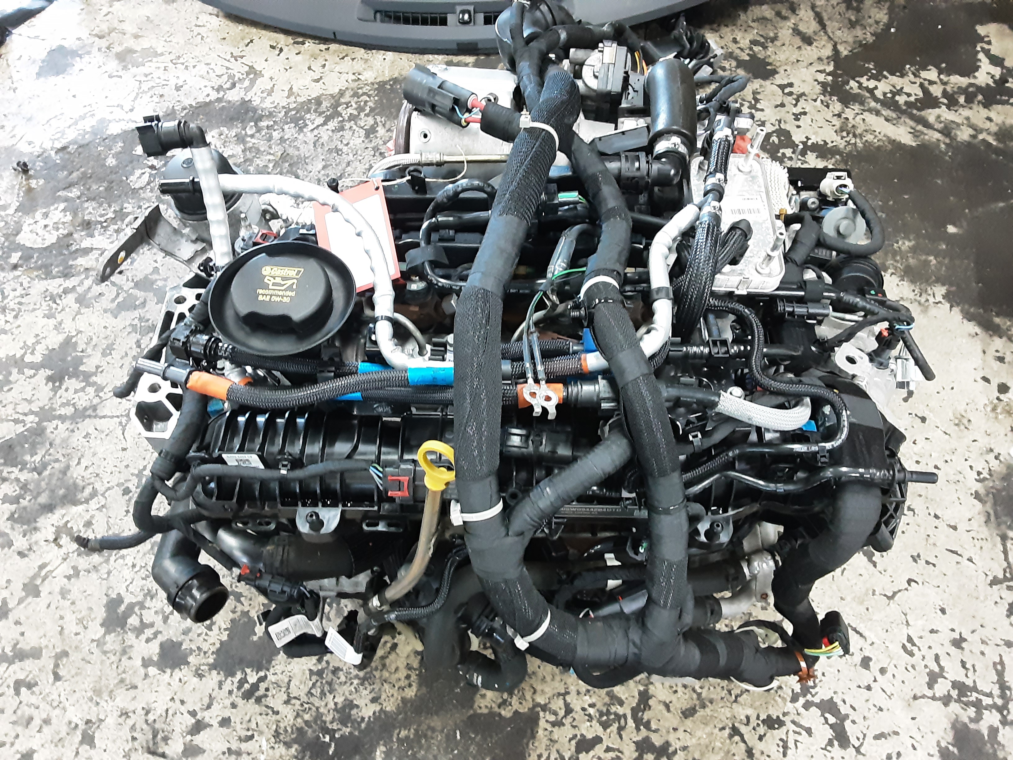MOTOR