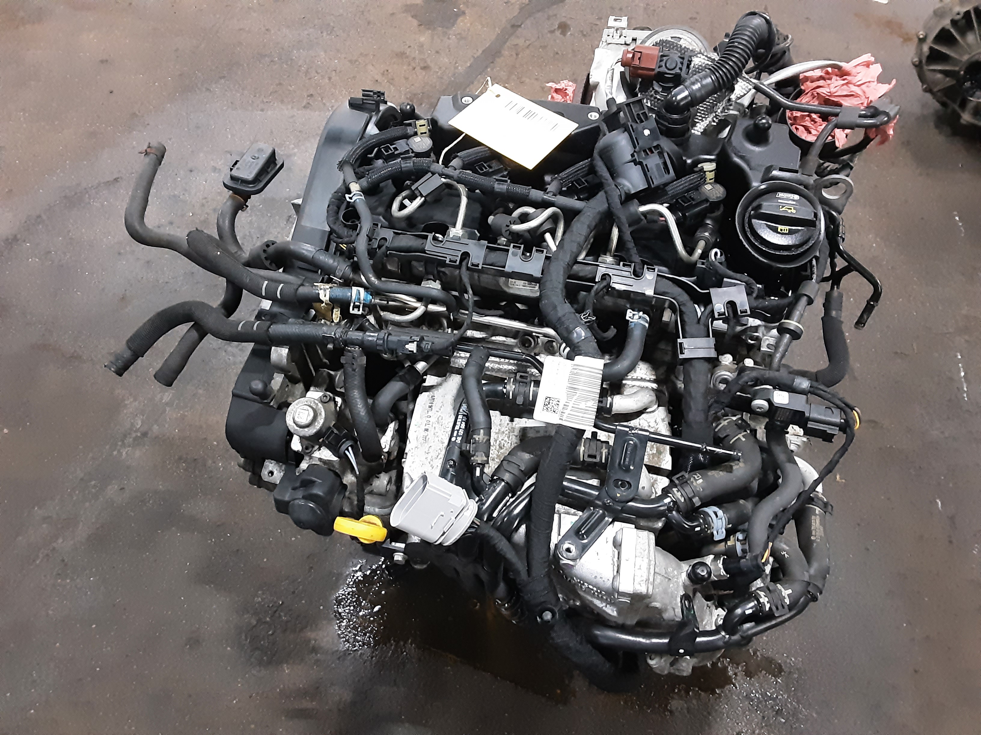 MOTEUR