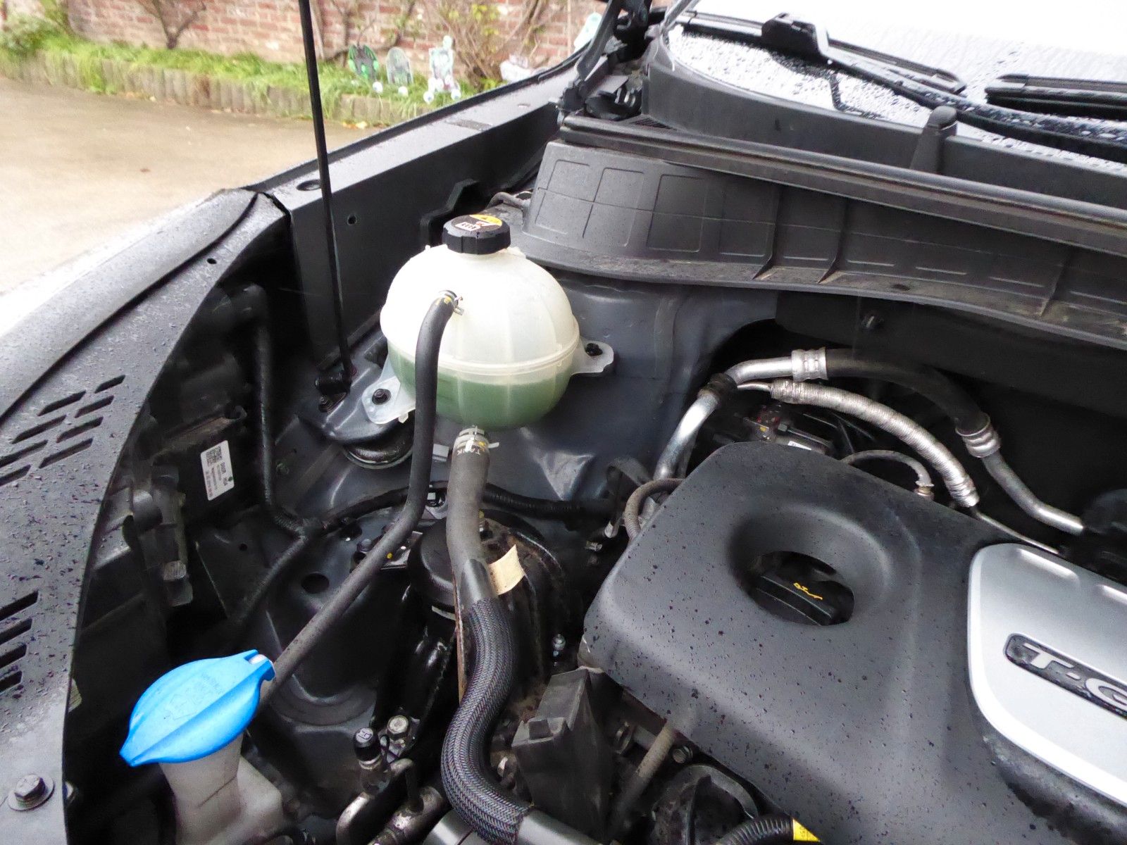 auto