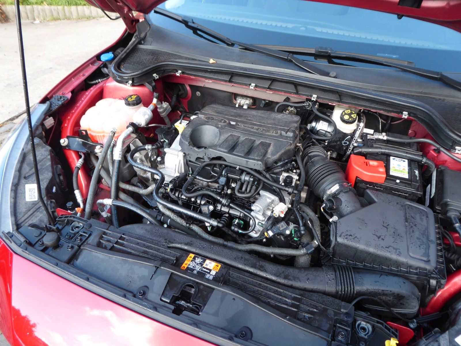 auto