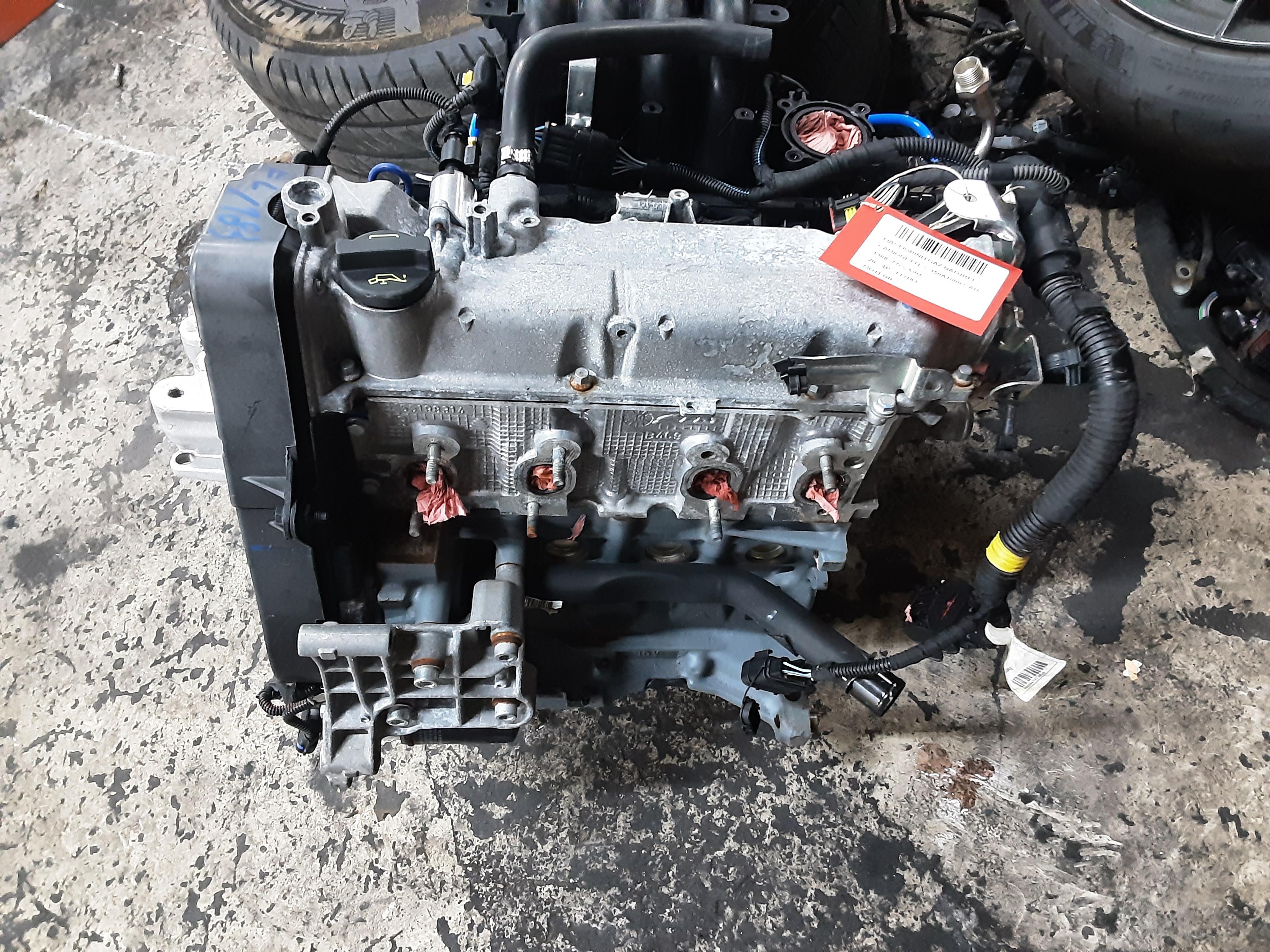 MOTOR