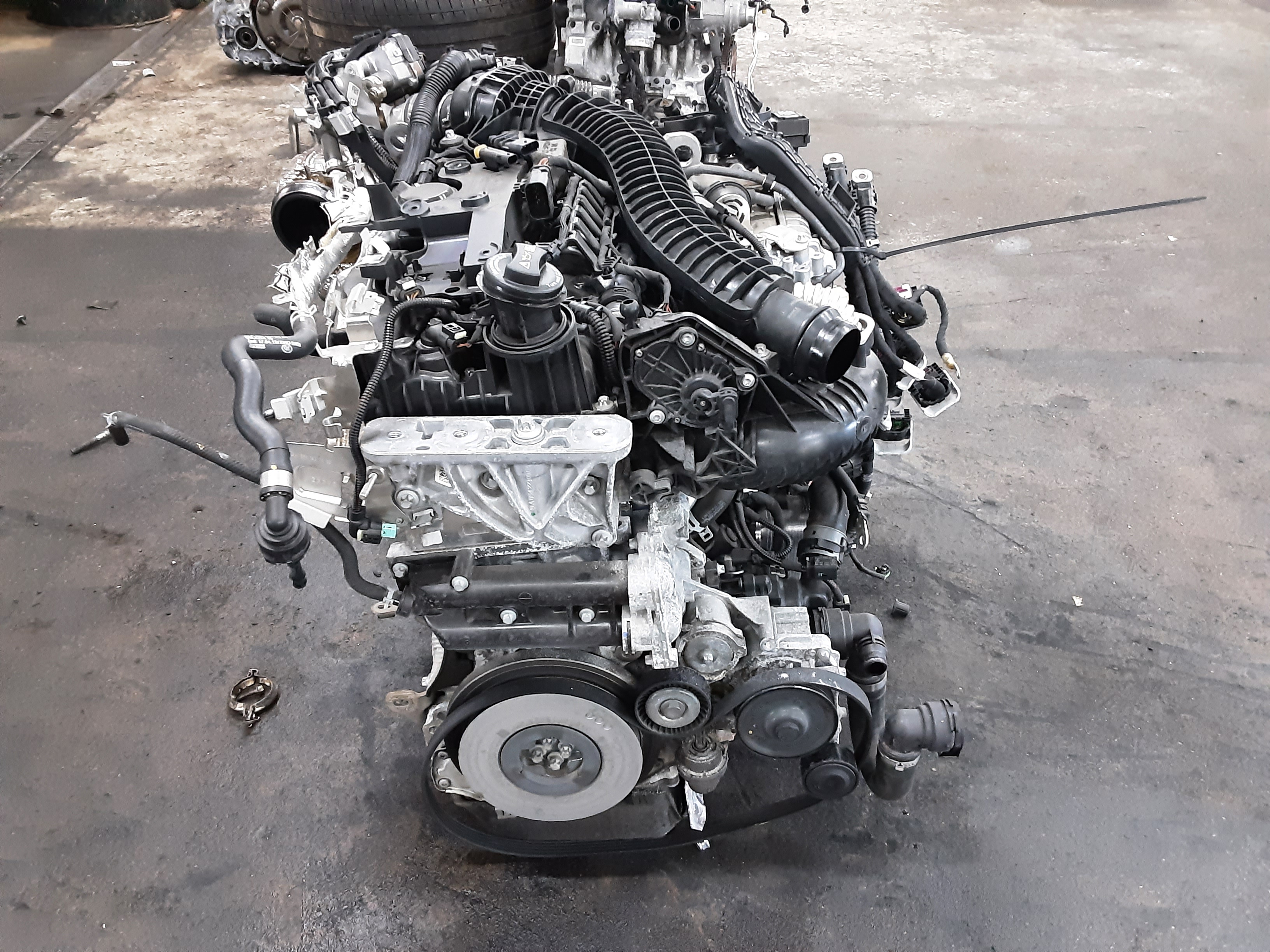 MOTOR