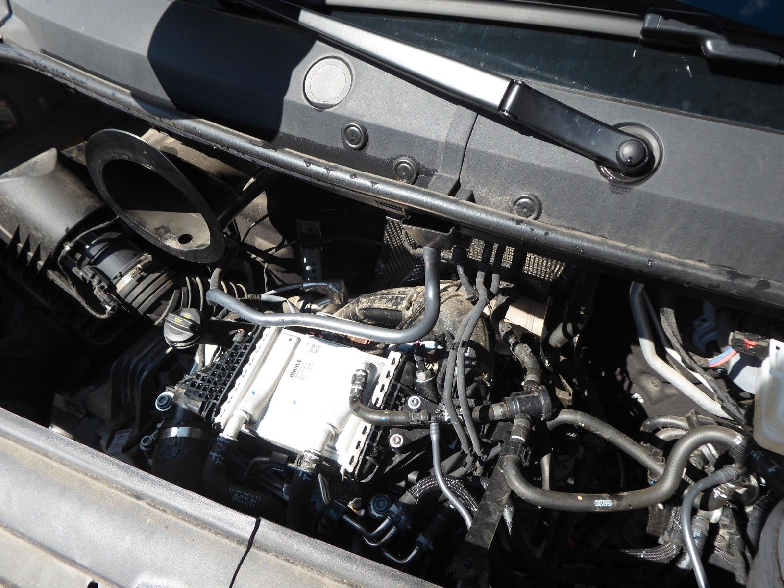 auto