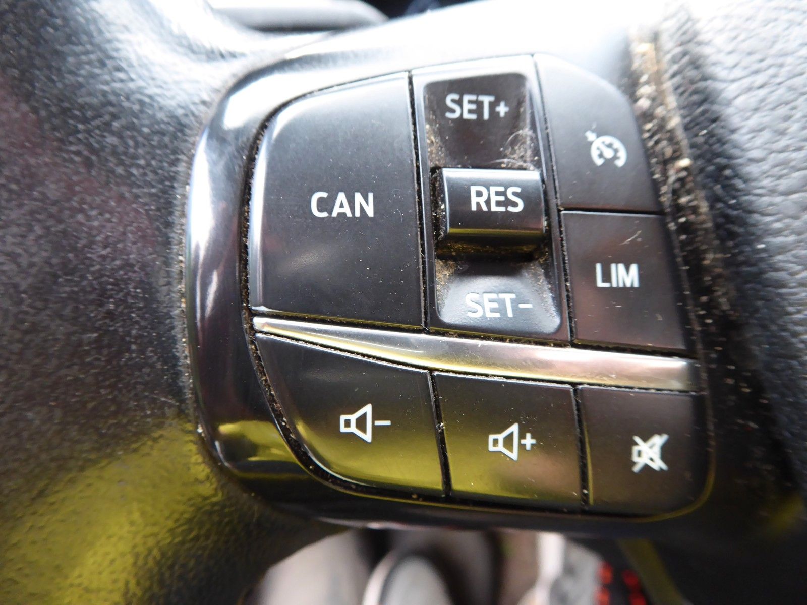 auto