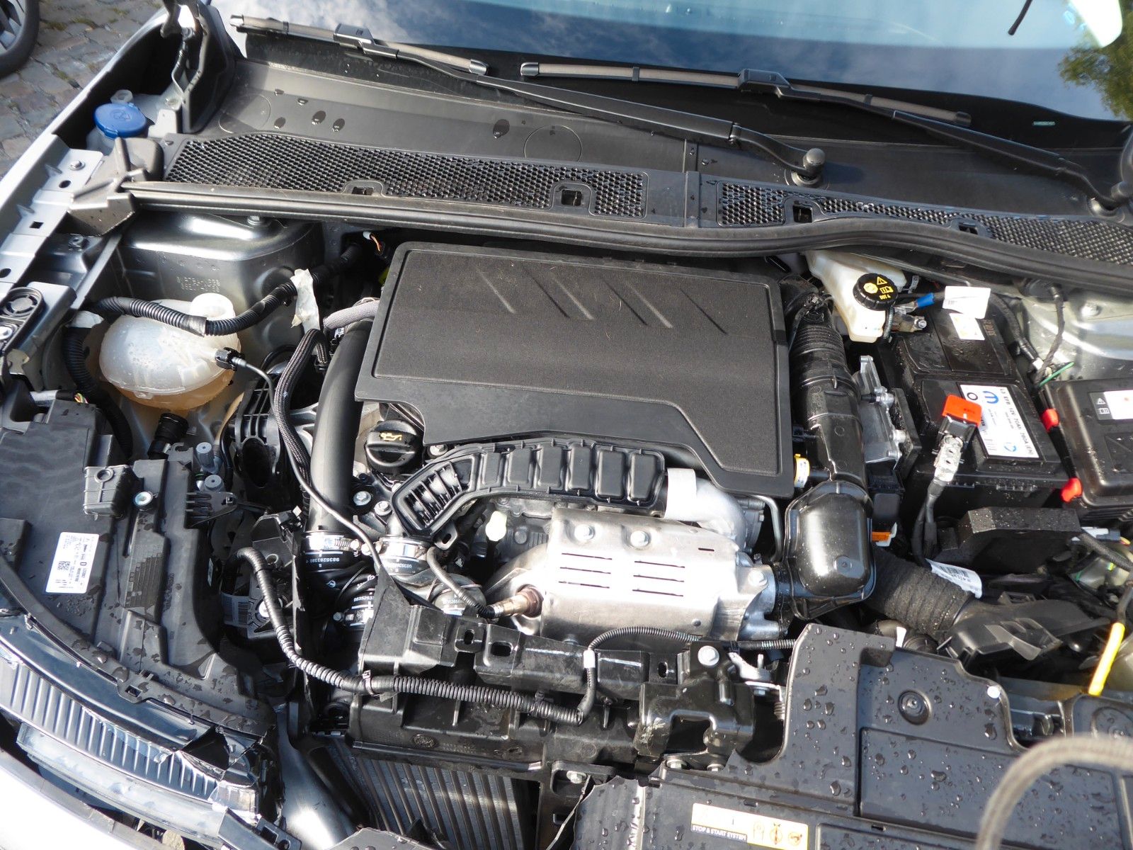 auto