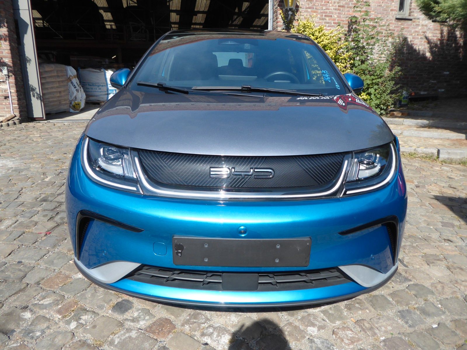 auto