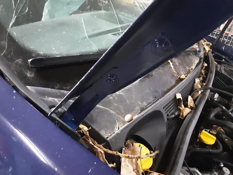 SCHARNIER MOTORKAP RECHTS Dacia SANDERO 12/16 - 20