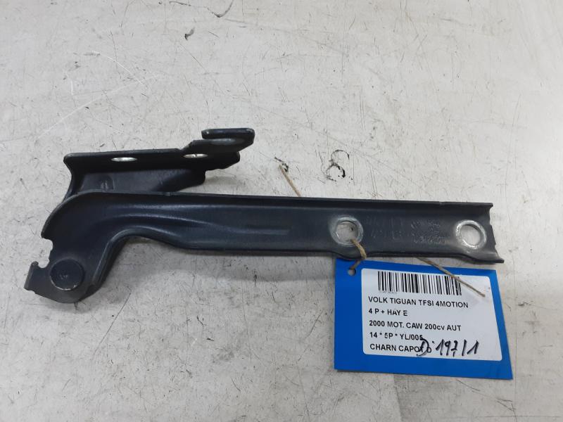 SCHARNIER MOTORKAP RECHTS Vw TIGUAN (2) 07/11 - 16