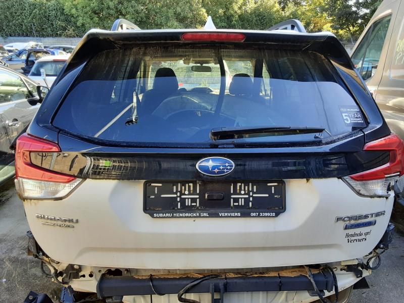 TAILGATE Subaru FORESTER (5) 1/19+
