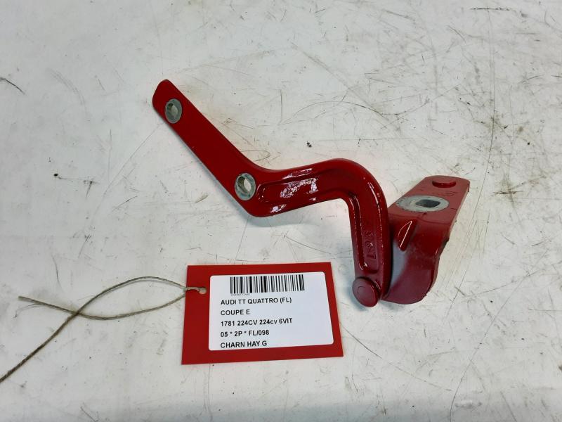 SCHARNIER ACHTERKLEP LINKS Audi TT 10/98 - 06